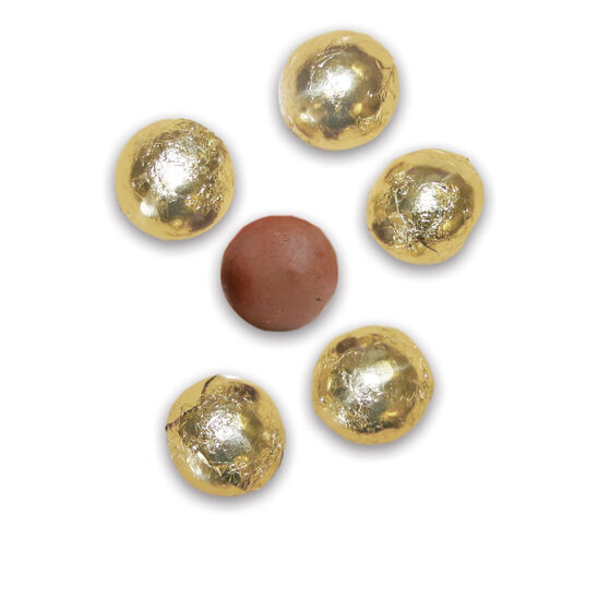 Keepsake Llama Ornament - Assorted Llama Chocolate Ornament